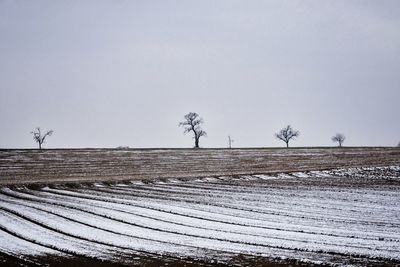 Scenic view of field against clear sky during winter