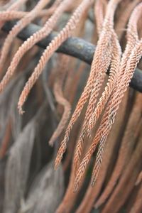 Close-up of rope tied up on metal