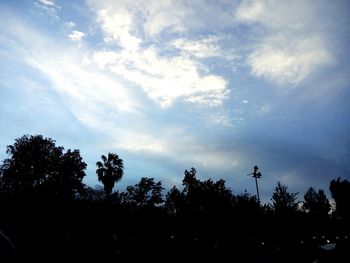 Low angle view of trees against cloudy sky