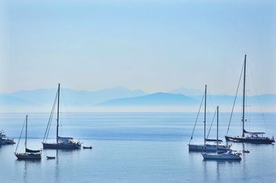 Sailboats on sea against sky