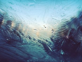 Close-up of duck swimming in water