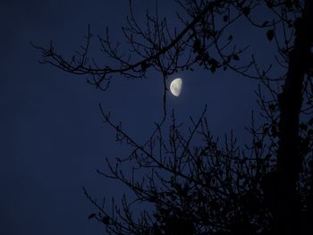 Low angle view of silhouette tree against sky at night
