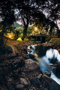 Scenic view of waterfall in forest