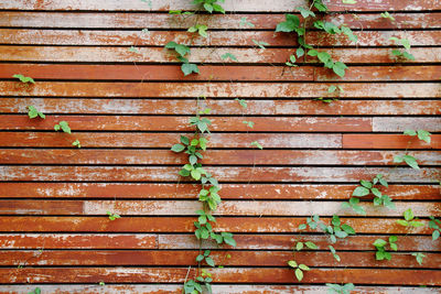 Full frame shot of weathered wall