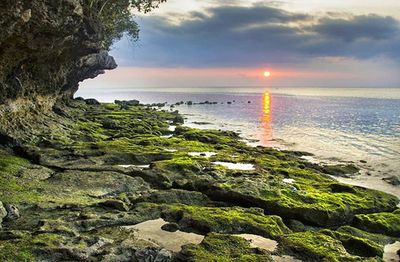 Scenic view of sea at sunset