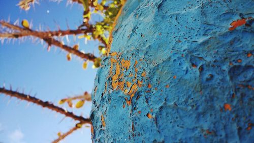 Low angle view of tree against blue sky