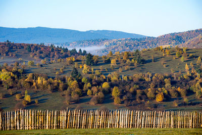 Scenic view of field against clear sky