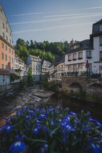 Scenic view of river by buildings against sky