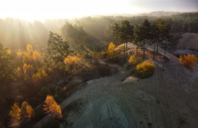 Scenic view of forest against sky during autumn