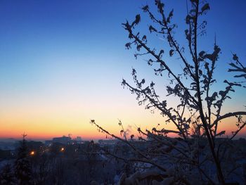 Snow covered tree against clear sky during sunset