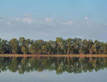 Scenic view of lake by trees against sky