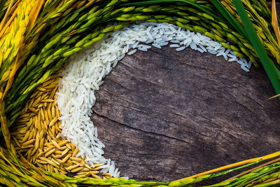 Directly above shot of wheat