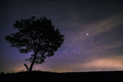 Silhouette trees on field against sky at night
