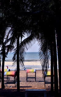 Palm trees on beach against sky