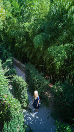 Full length of woman standing on tree trunk in forest