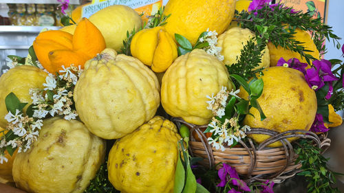 Fresh lemon fruits from amalfi coast in italy