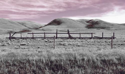 Scenic view of landscape against cloudy sky