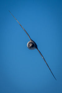 Low angle view of airplane against clear blue sky