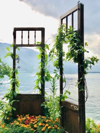 Potted plants by metal structure against sky