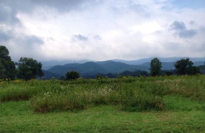 Scenic view of grassy field against cloudy sky