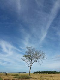 Scenic view of field against cloudy sky