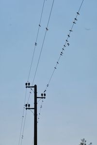 Low angle view of crane against clear sky - birds on the line