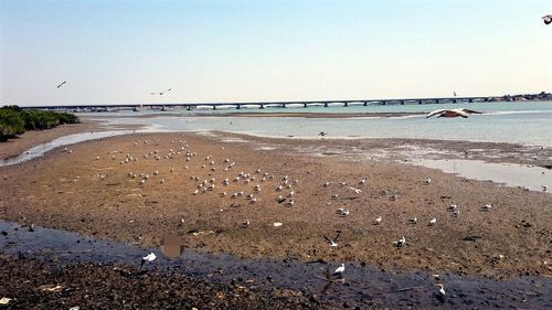 Scenic view of beach against clear sky