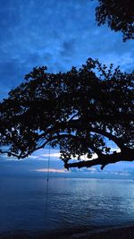 Silhouette trees by sea against sky