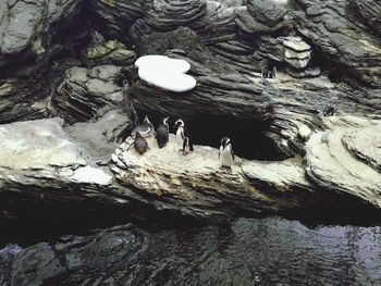 High angle view of rock formation in lake