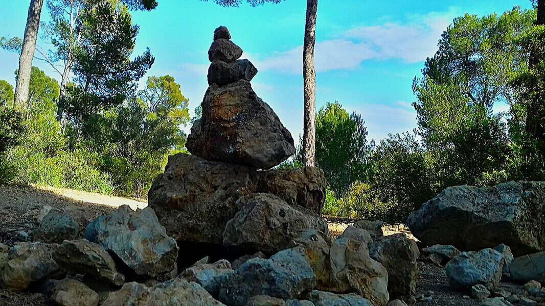 religion, statue, tree, sculpture, no people, ancient, cultures, sky, day, outdoors, idol