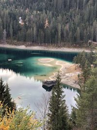 High angle view of lake amidst trees in forest