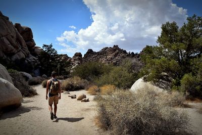 Rear view of woman walking amidst plants against sky