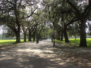 Footpath amidst trees in park