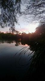 Scenic view of lake in forest during sunset