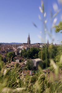 Panoramic view of trees and buildings against sky