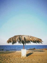 Coconut palm tree on beach against clear blue sky