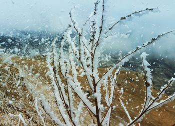 Close-up of snow on window during winter