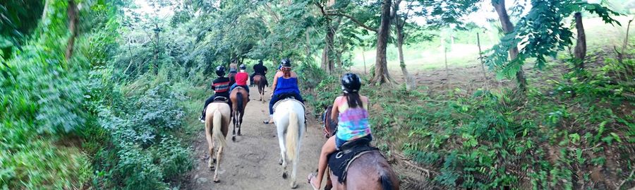 Rear view of people in forest