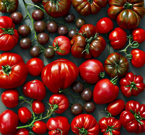 Colorful tomatoes of different sizes and varieties, in appearance, are a horizontal composition. 