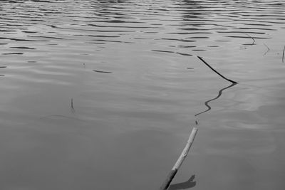 High angle view of rippled lake