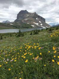 Scenic view of field and mountains against sky