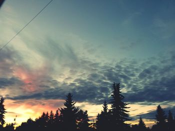 Silhouette of trees at sunset