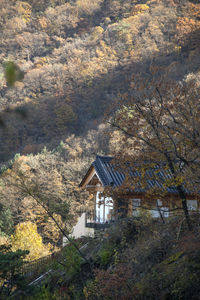 architecture