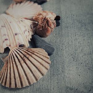 High angle view of wood on table