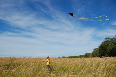 Kite and boy