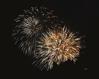 Low angle view of firework display against sky at night