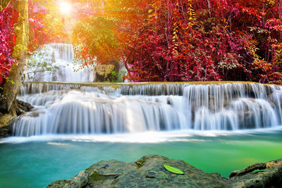 Scenic view of waterfall in forest during autumn