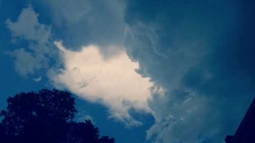 Low angle view of trees against cloudy sky