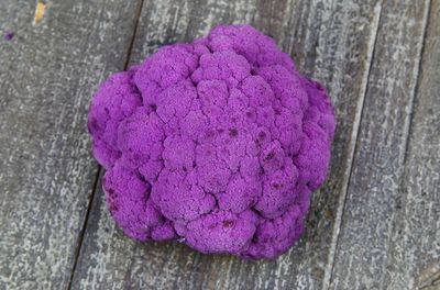 High angle view of purple flowers on table