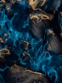 Full frame shot of swimming in sea